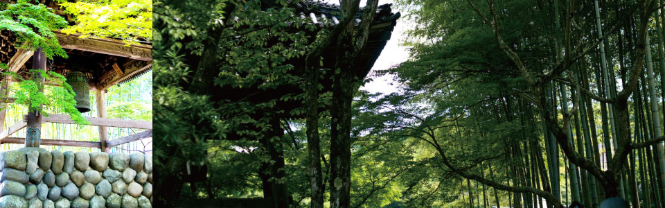 修善寺のイメージ写真　松琴のあゆみ